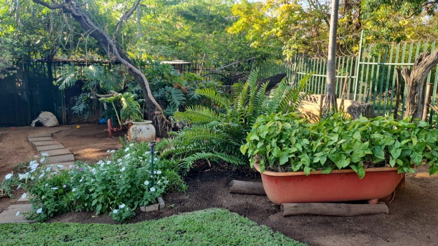 To Let 3 Bedroom Property for Rent in Protea Park North West